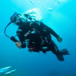 Combinaison Semi-étanche Femme Seac Masterdry 7mm 20 Combinaison Semi-étanche Femme Seac Masterdry 7mm -CRESS Magasin combinaison semi etanche femme seac masterdry 7mm 9