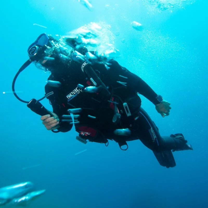 Combinaison Semi-étanche Femme Seac Masterdry 7mm 10 Combinaison Semi-étanche Femme Seac Masterdry 7mm – Image 10